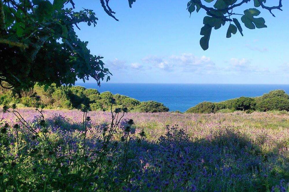 Photo of Others in Bolonia
