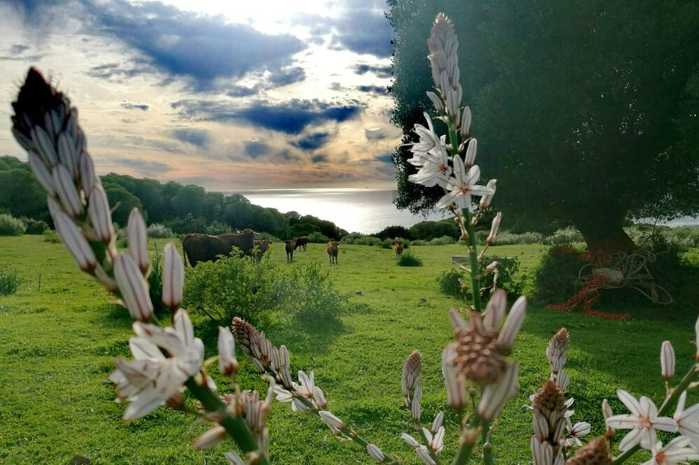 Photo of Others in Bolonia