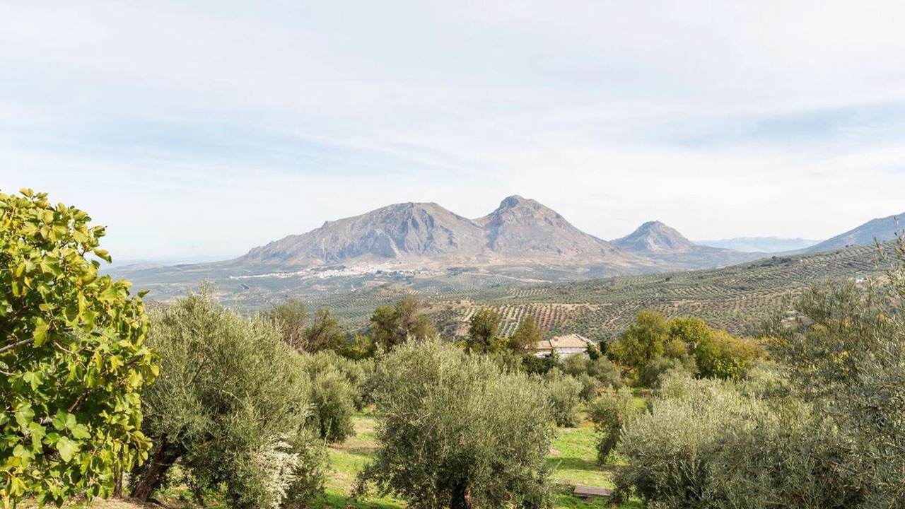 Photo of Others in Albanchez de Magina