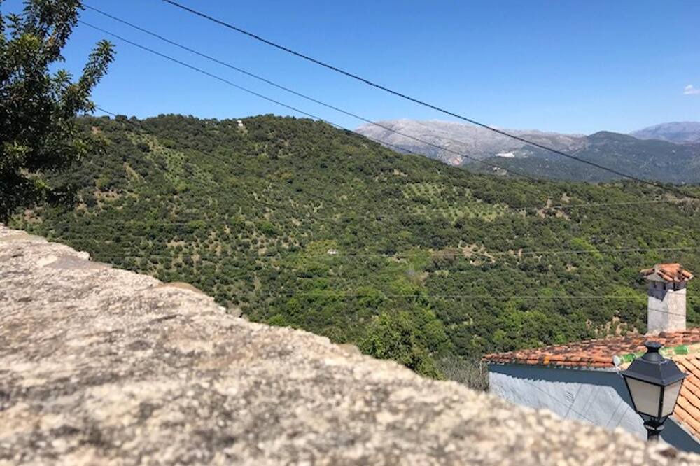 Photo of Others in Benalauria
