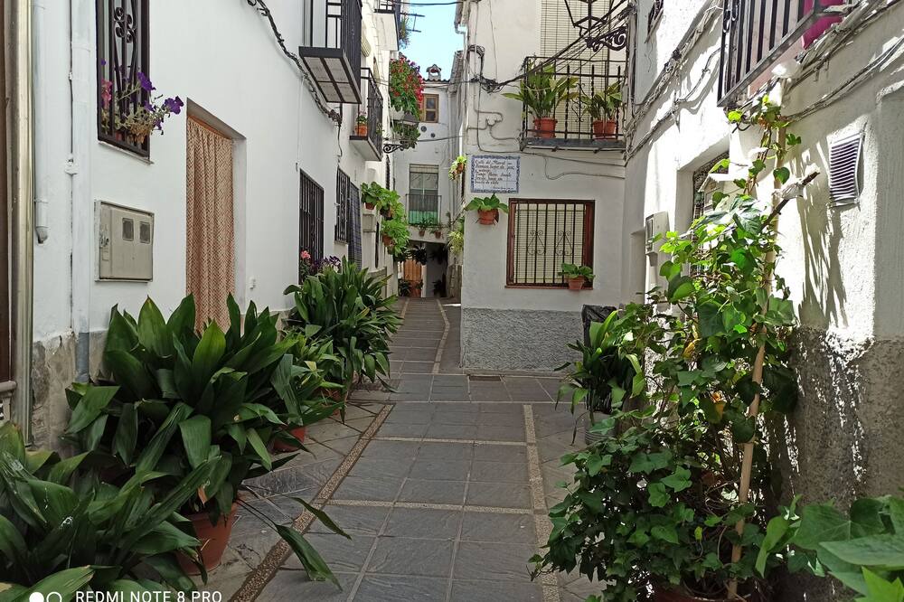 Photo of Outdoor in Guejar Sierra