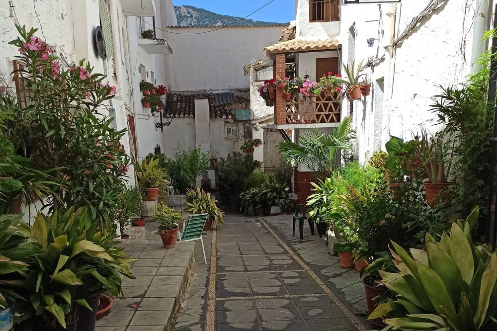 Photo of Outdoor in Guejar Sierra