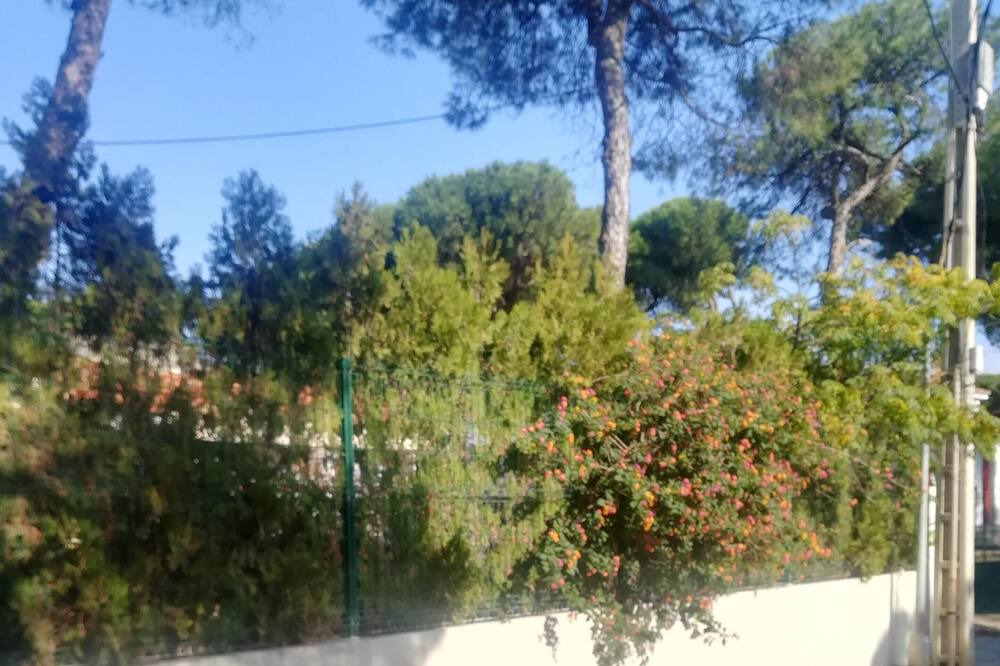 Photo of Outdoor in Punta Umbria