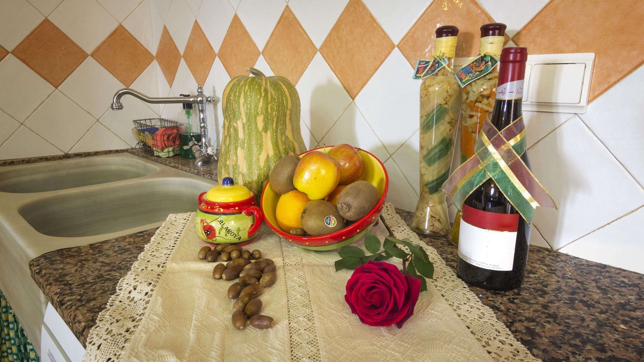 Photo of Kitchen in Laroya