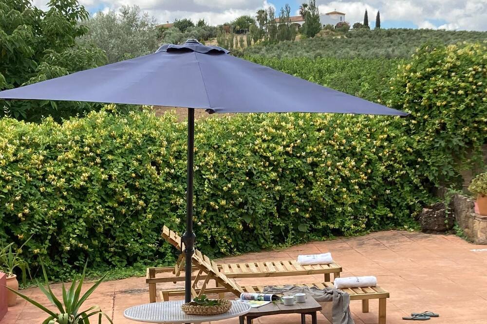 Photo of Outdoor in Montilla