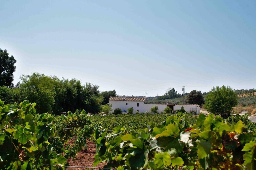 Photo of Others in Montilla