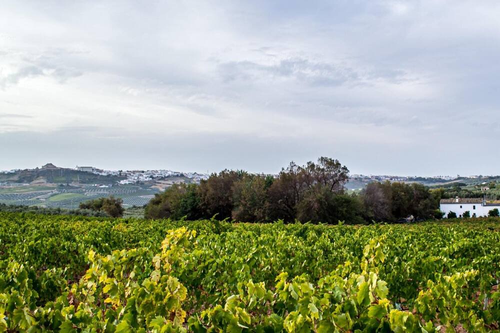 Photo of Outdoor in Montilla