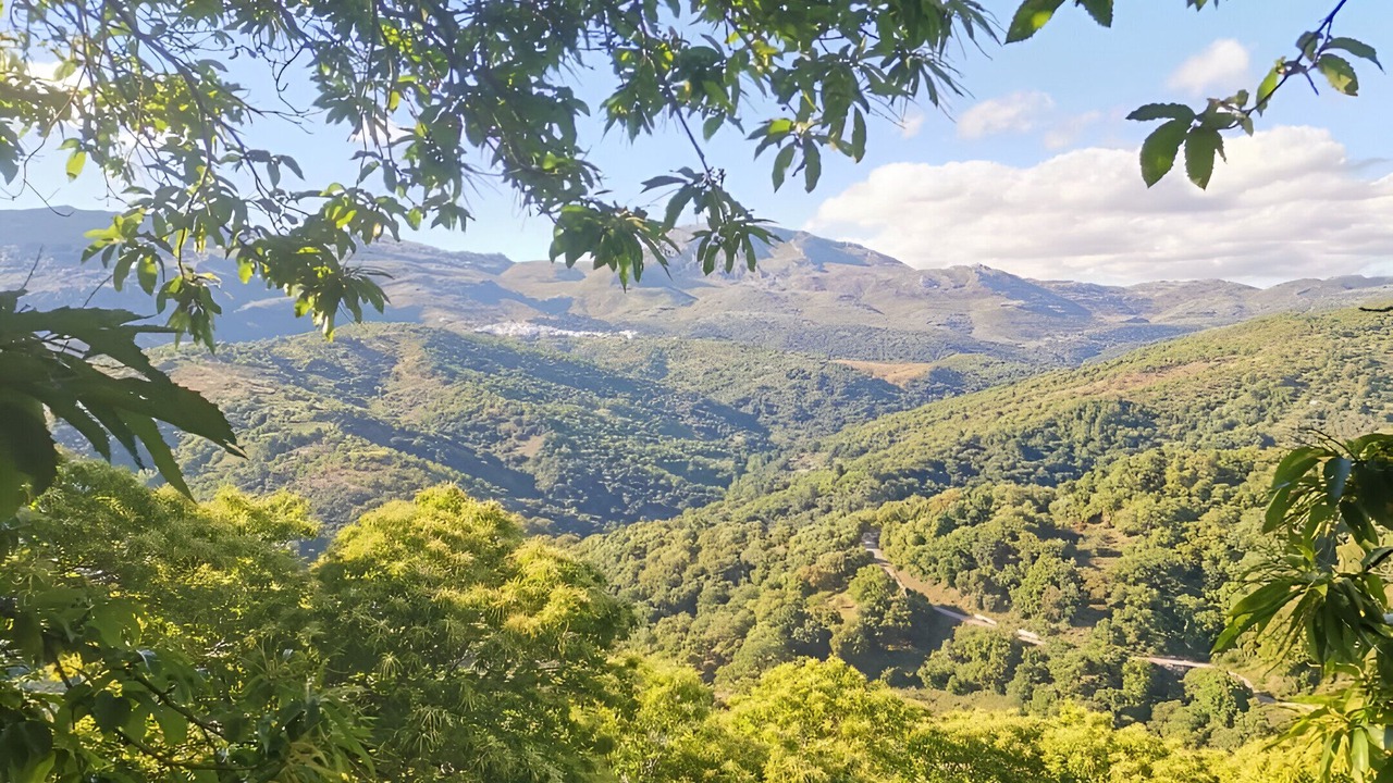 Photo of Outdoor in Pujerra