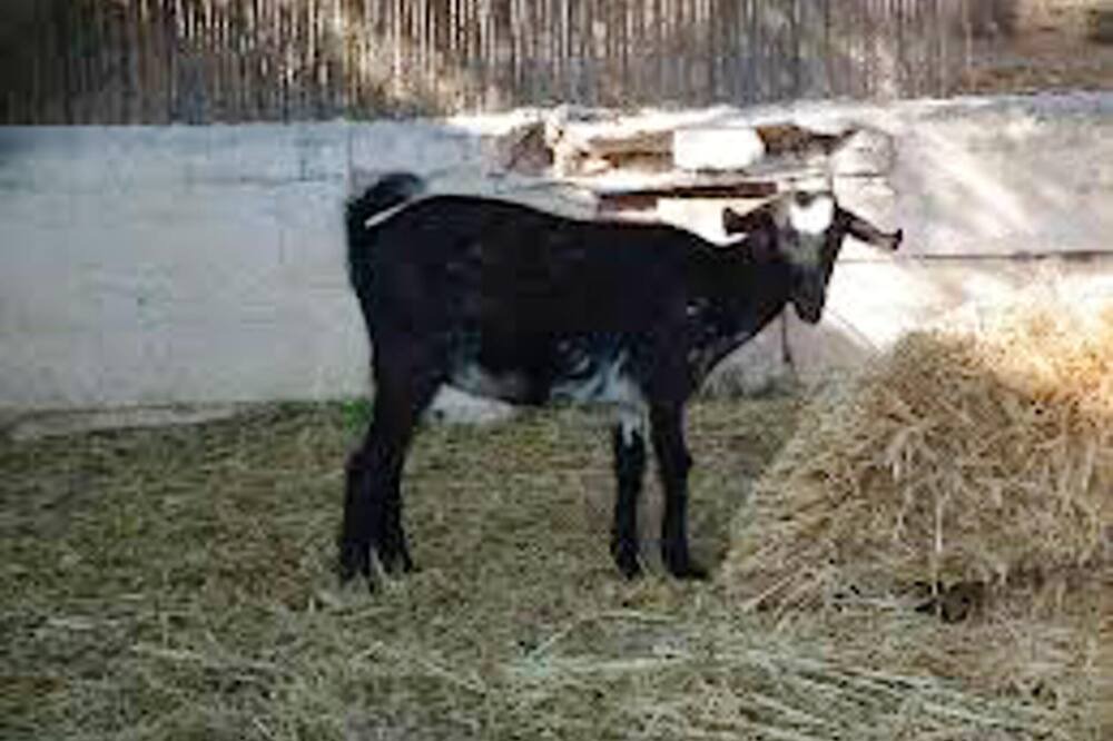 Photo of Outdoor in Estepa