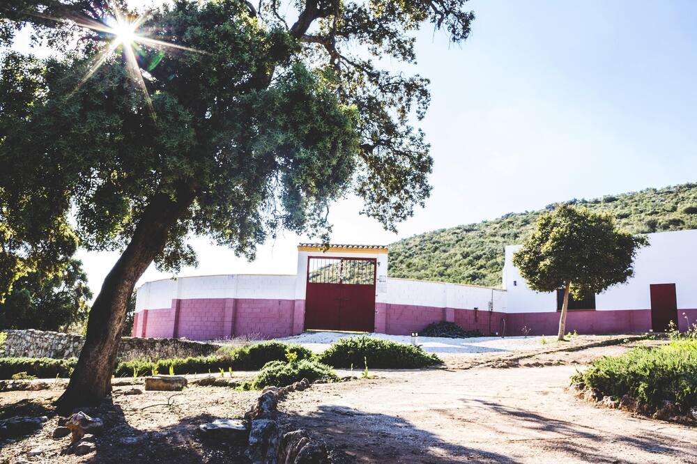 Photo of Others in Estepa