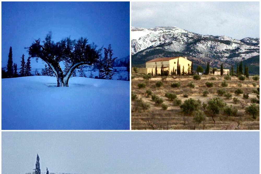 Photo of Others in Lorca