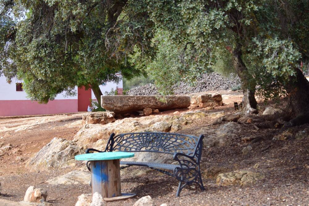 Photo of Others in Estepa