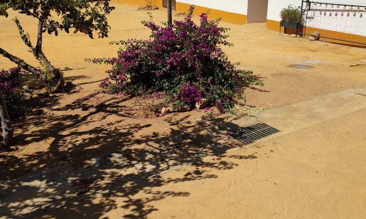 Photo of Outdoor in Teba