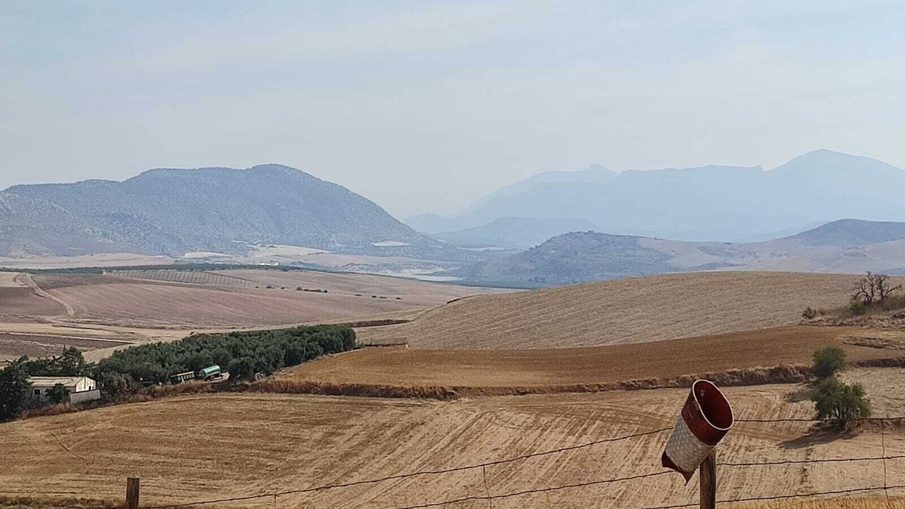 Photo of Others in Teba