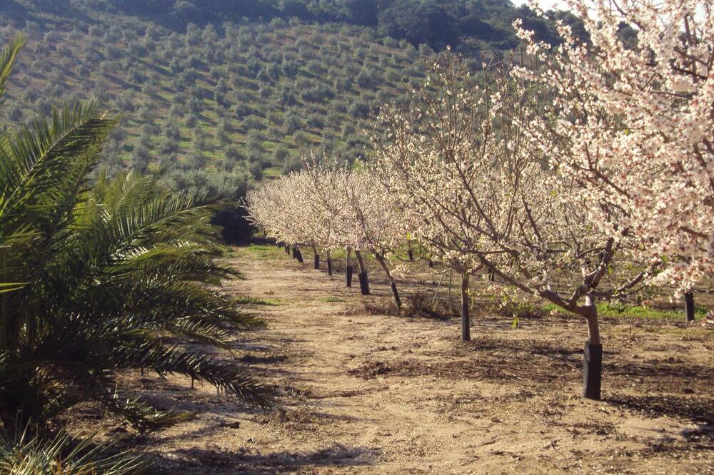 Photo of Outdoor in Estepa