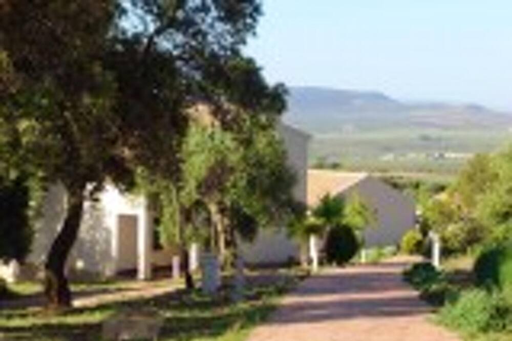 Photo of Outdoor in Estepa