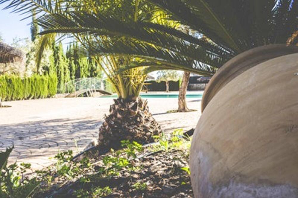 Photo of Outdoor in Estepa