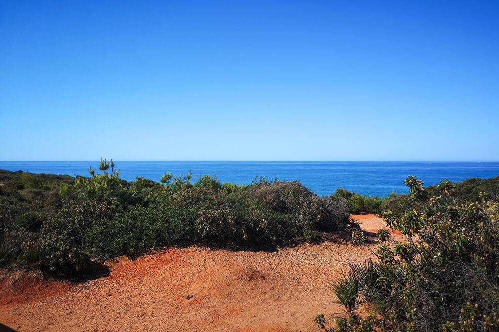 Photo of Others in Conil de la Frontera