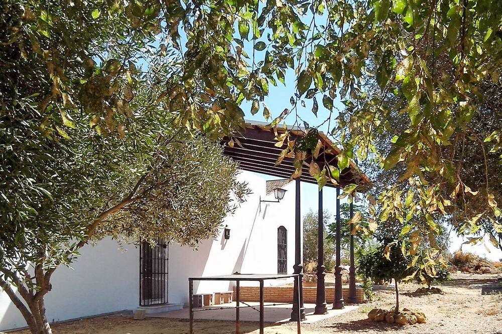 Photo of Outdoor in La Campana