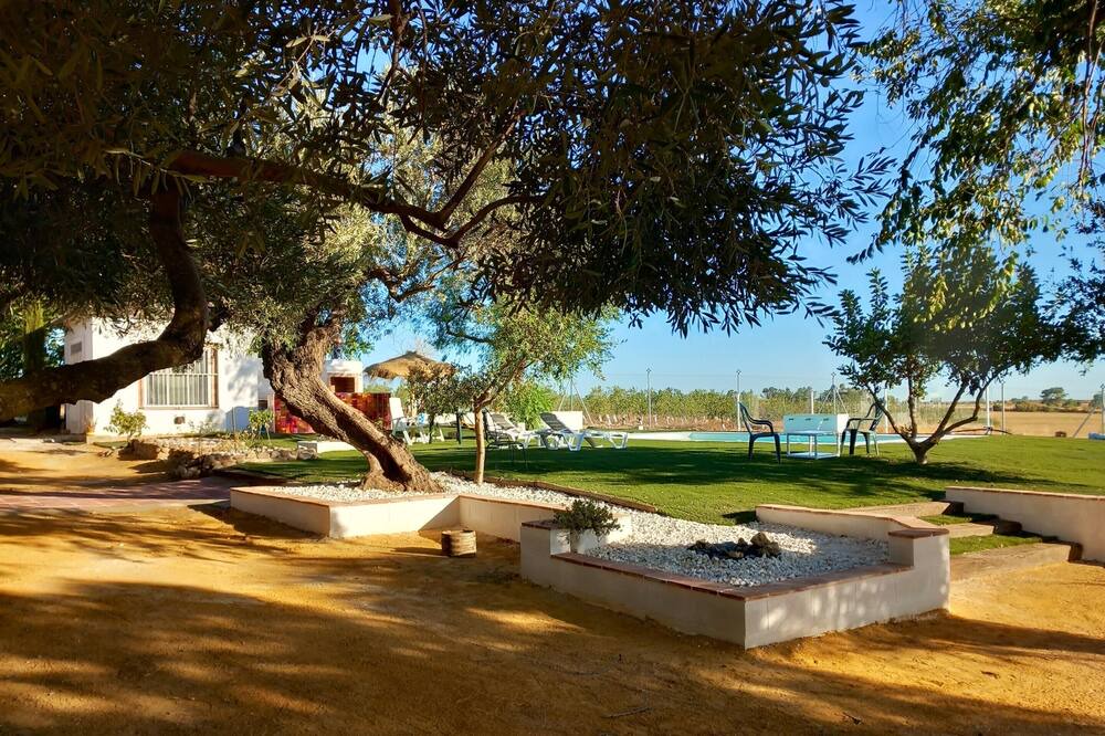 Photo of Outdoor in La Campana