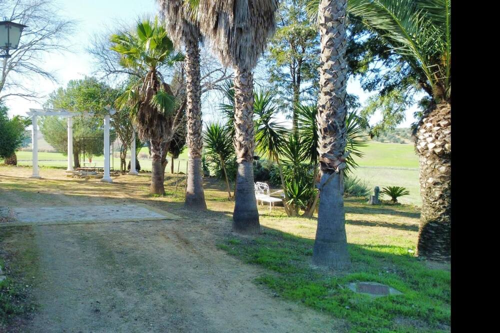 Photo of Others in La Campana