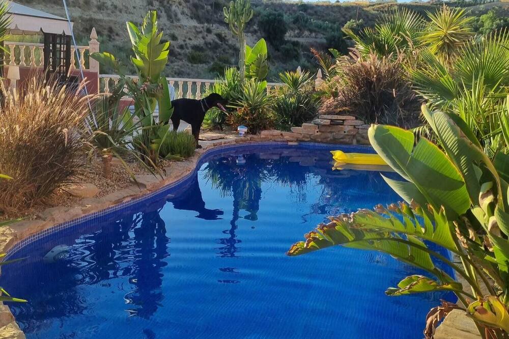 Photo of Outdoor in El Cortijo Grande