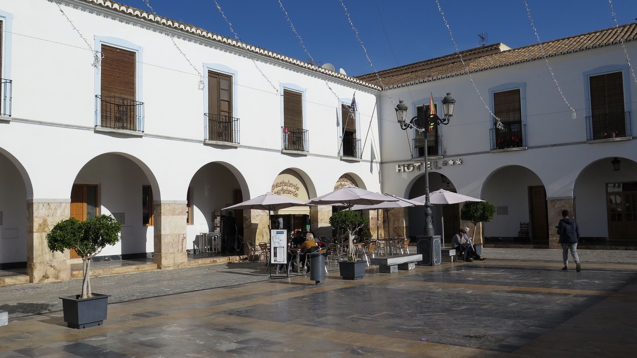 Photo of Patio Balcony in Berja