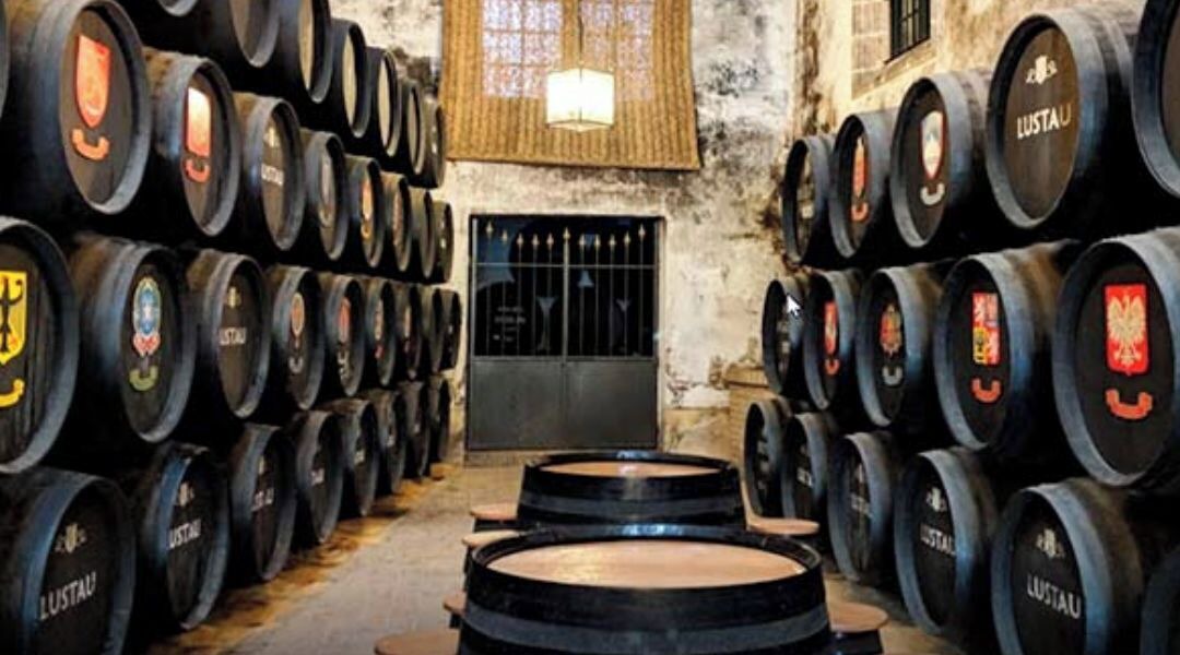 Photo of Others in Jerez de la Frontera Old Town
