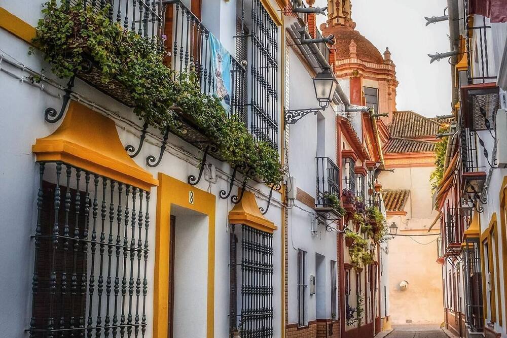 Photo of Outdoor in Penaflor