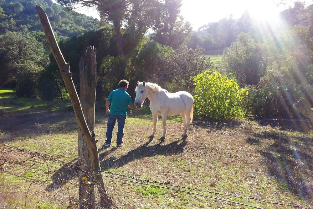 Photo of Others in Cordoba