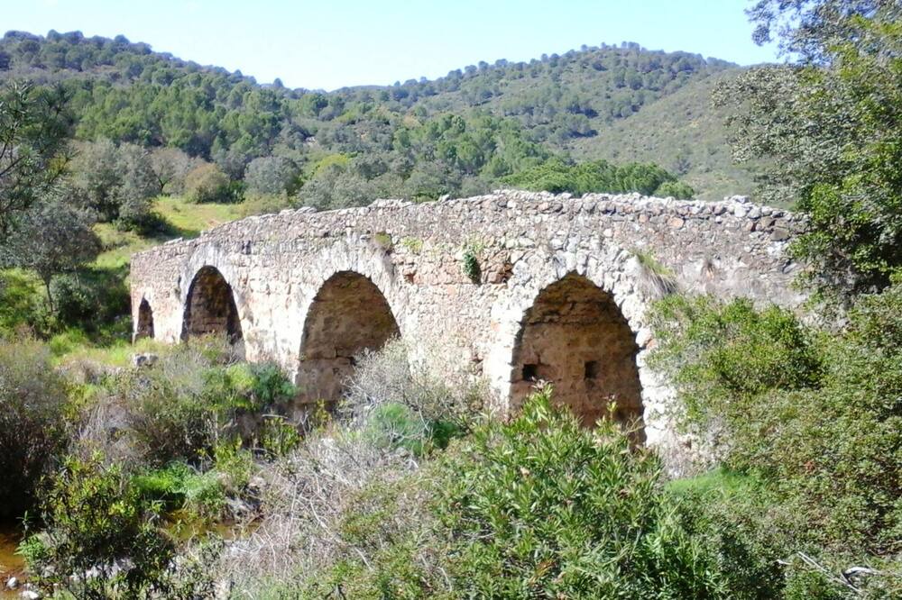 Photo of Others in Cordoba