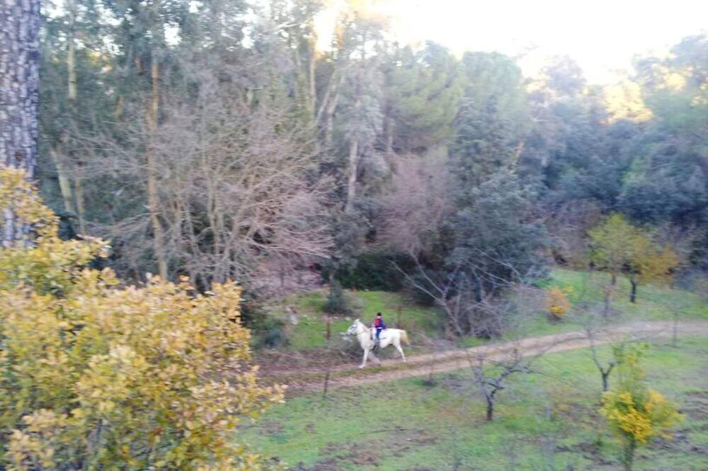 Photo of Others in Cordoba