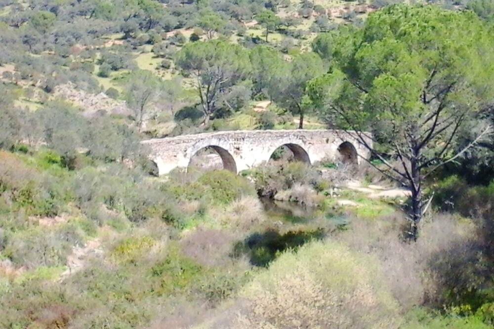 Photo of Others in Cordoba