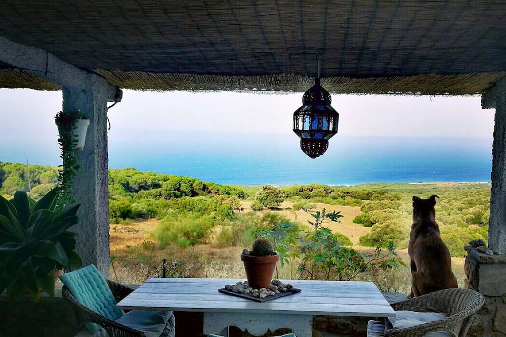 Photo of Others in Bolonia