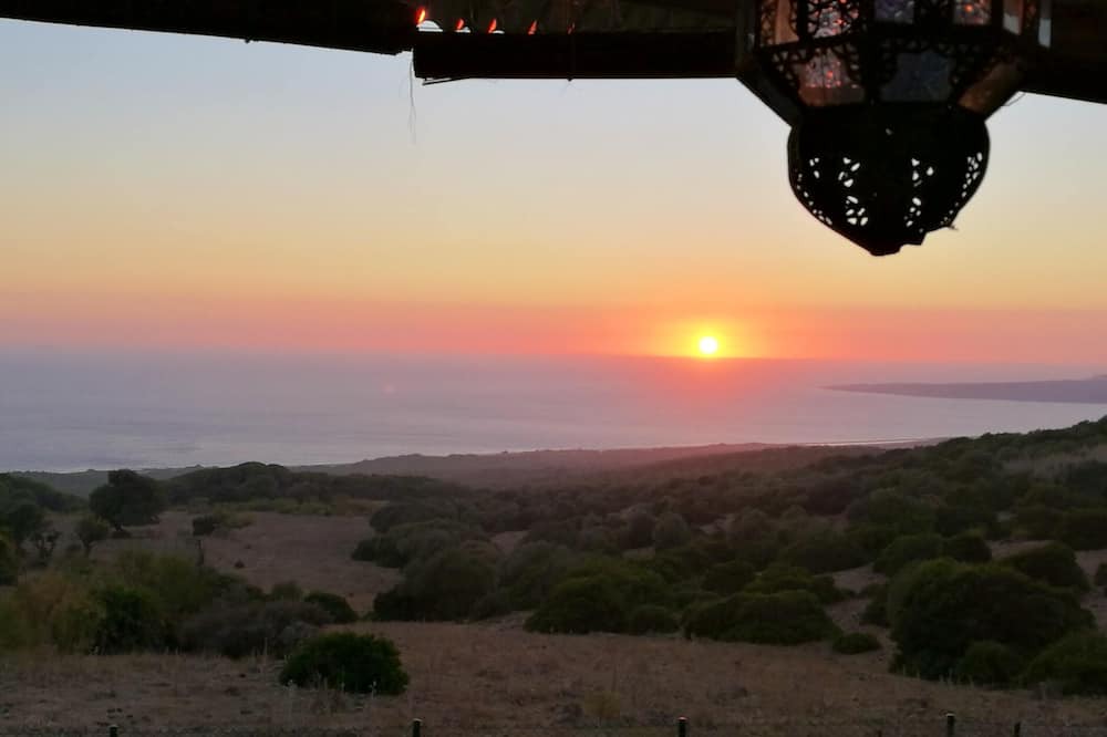 Photo of Others in Bolonia