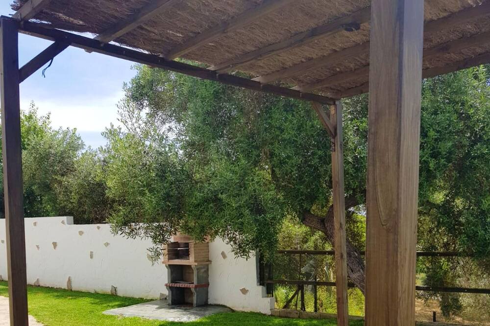 Photo of Outdoor in Algar