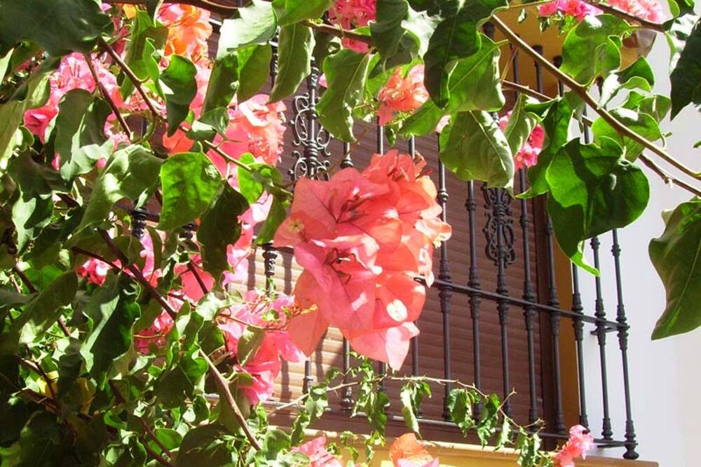 Photo of Outdoor in El Bosque