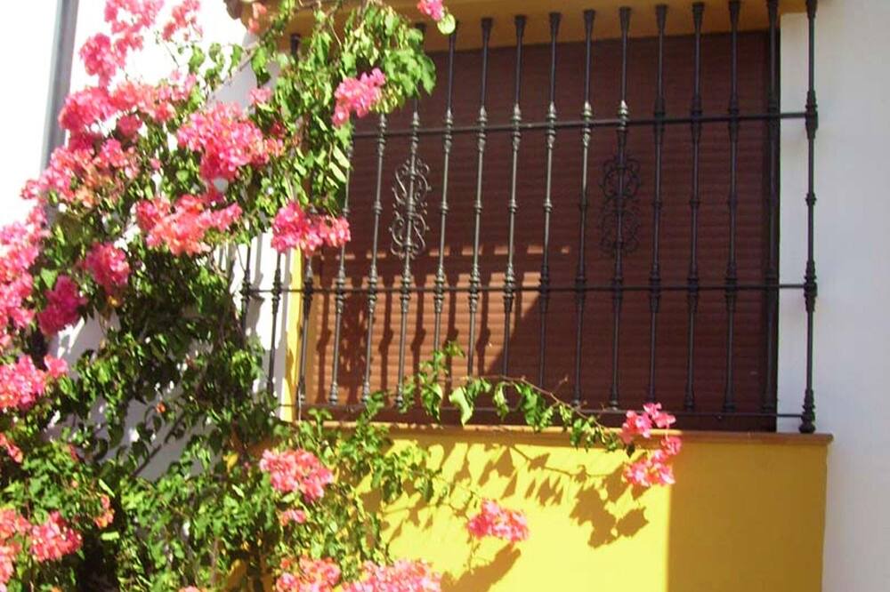Photo of Outdoor in El Bosque