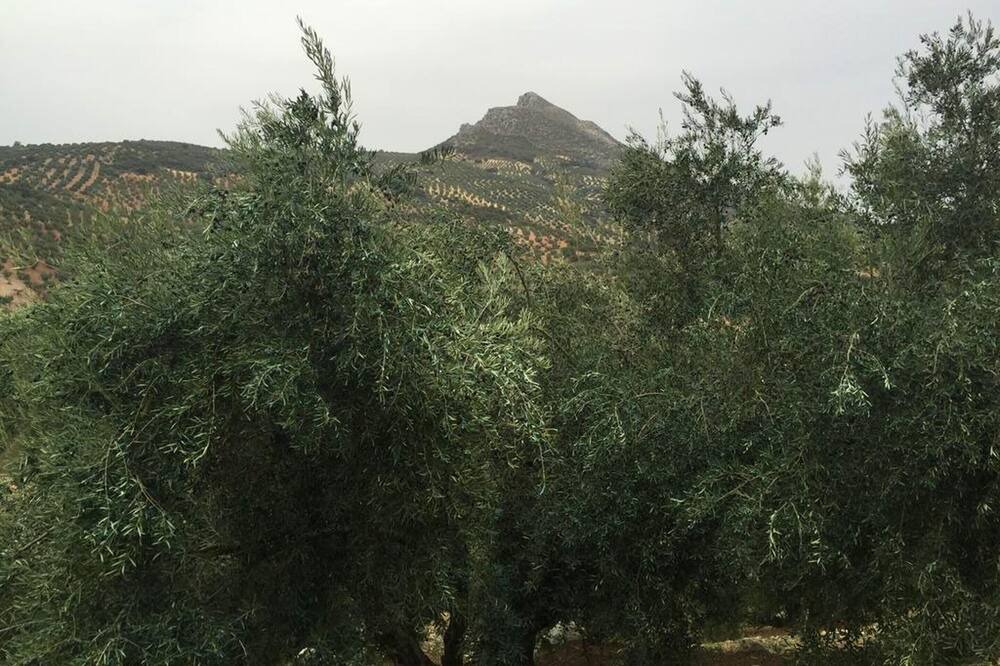 Photo of Others in Rute