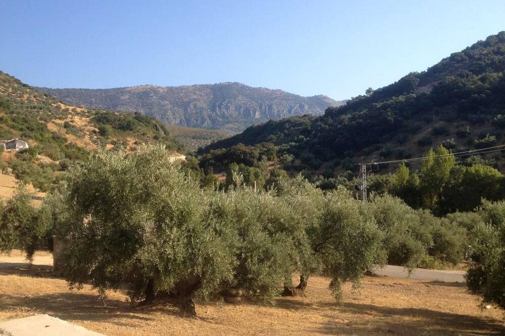 Photo of Others in Rute