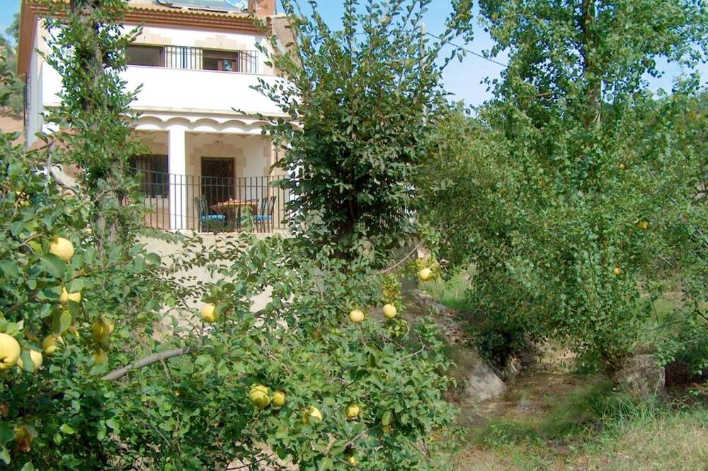 Photo of Outdoor in Rute