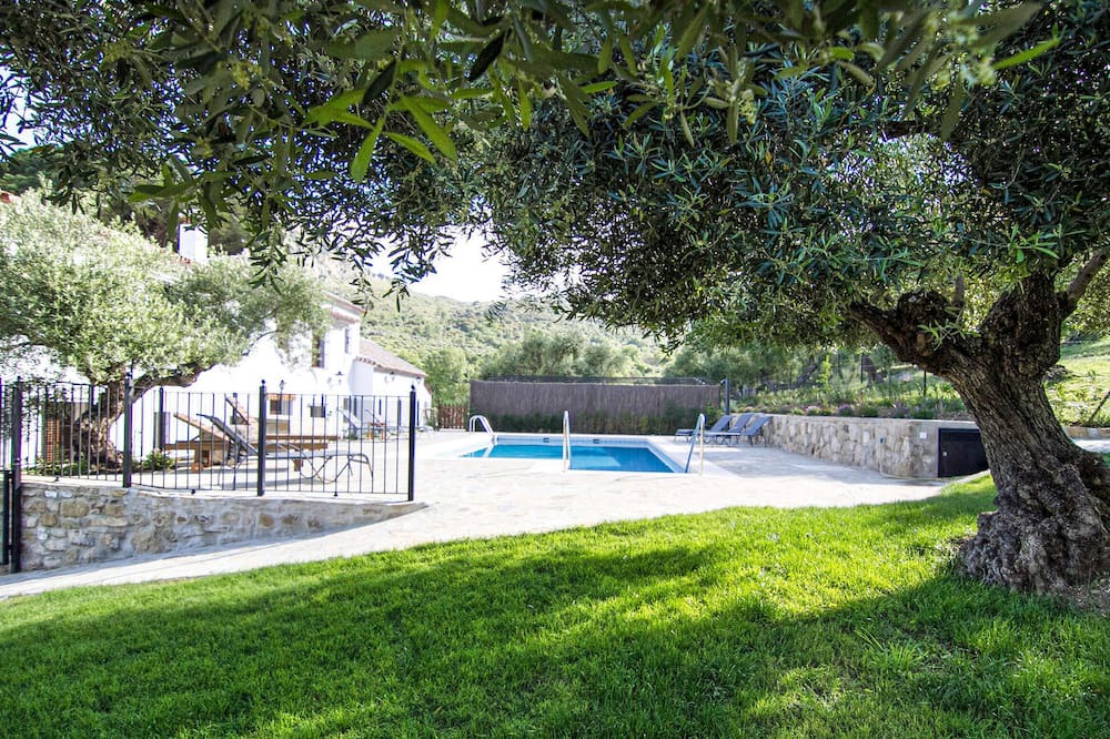 Photo of Others in Grazalema