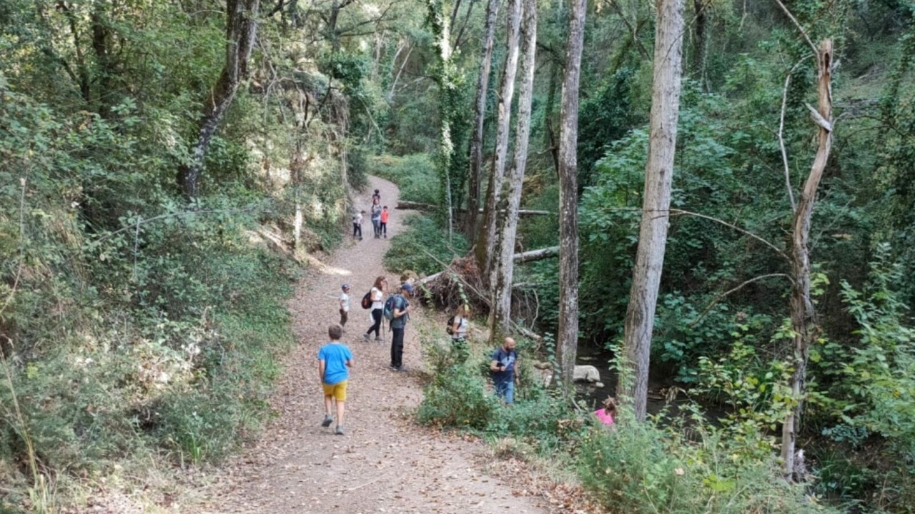 Photo of Outdoor in Arriate