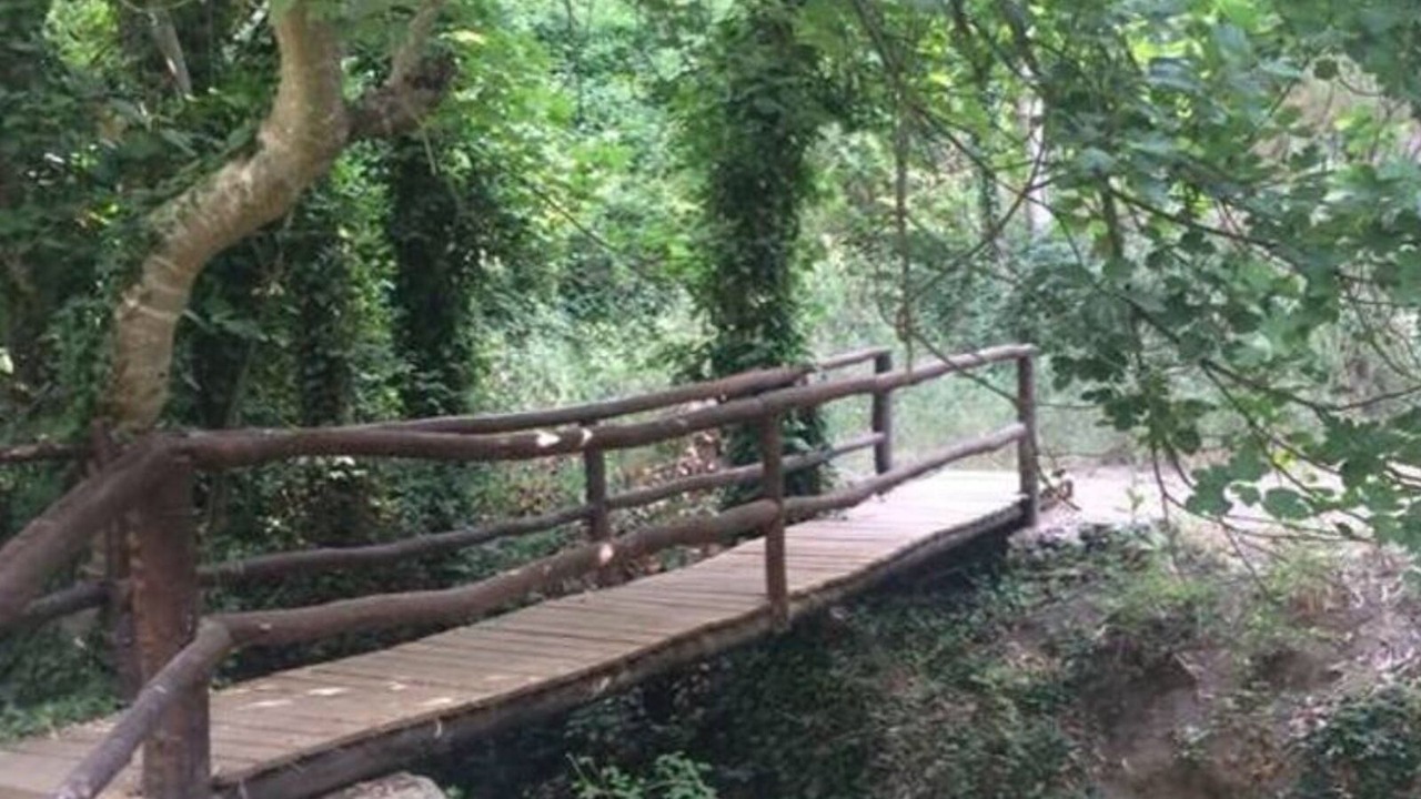 Photo of Outdoor in Arriate