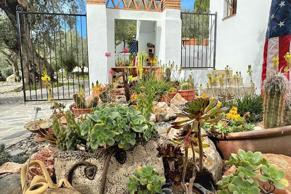 Photo of Outdoor in Orgiva