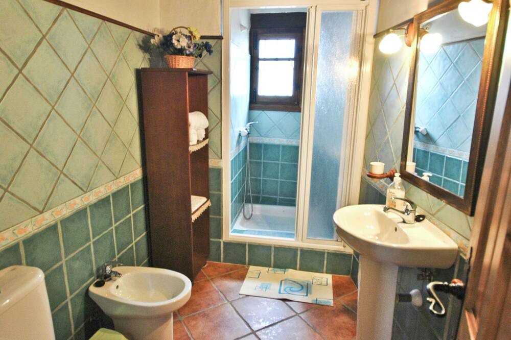 Photo of Bathroom in Alfarnatejo