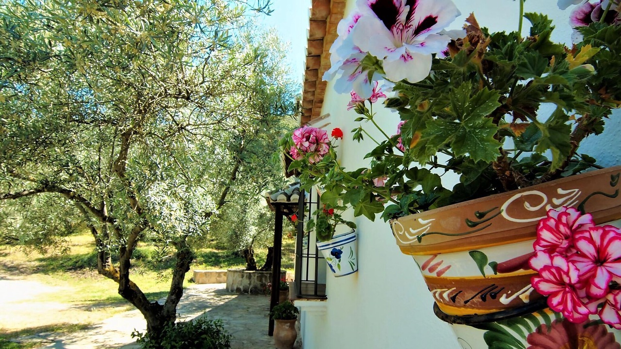 Photo of Outdoor in Antequera
