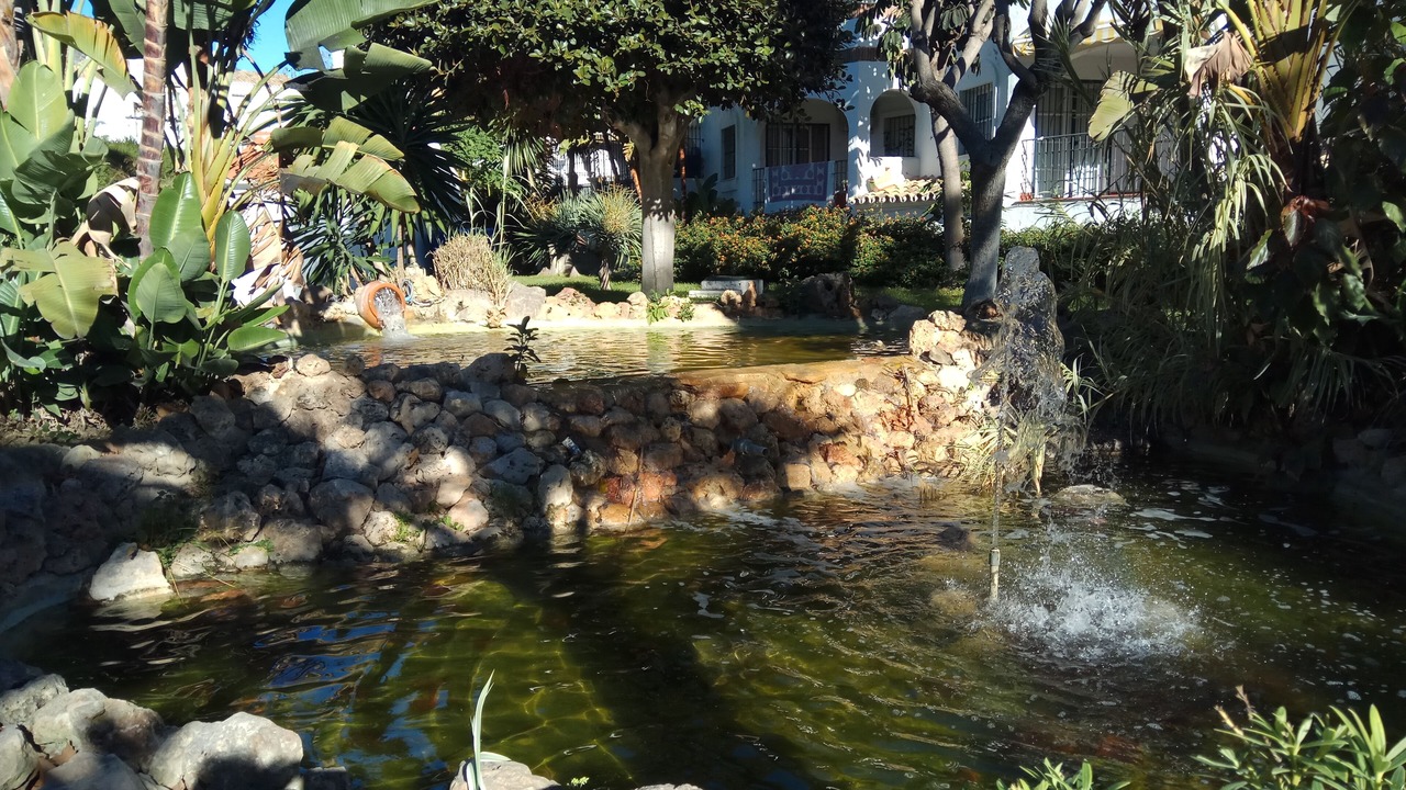 Photo of Outdoor in Benalmadena Costa