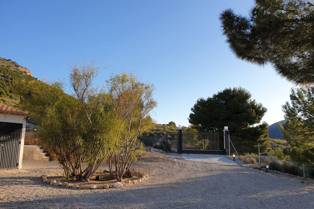 Photo of Others in Lorca