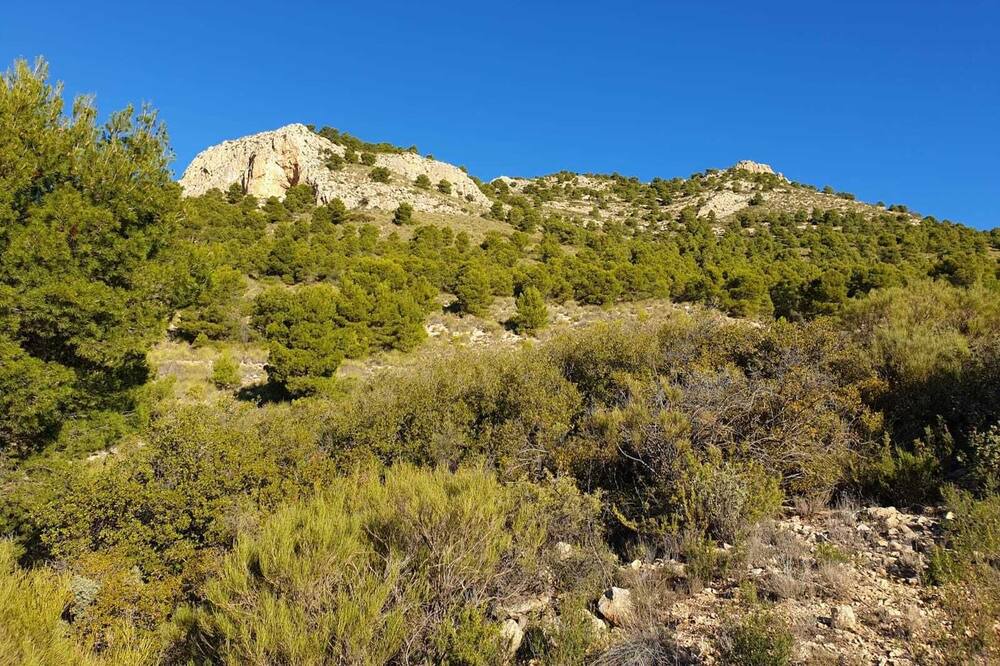 Photo of Others in Lorca